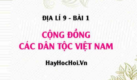 Việt Nam có bao nhiêu dân tộc, tình hình phân bố các dân tộc ở nước ta - Địa lí 9 bài 1
